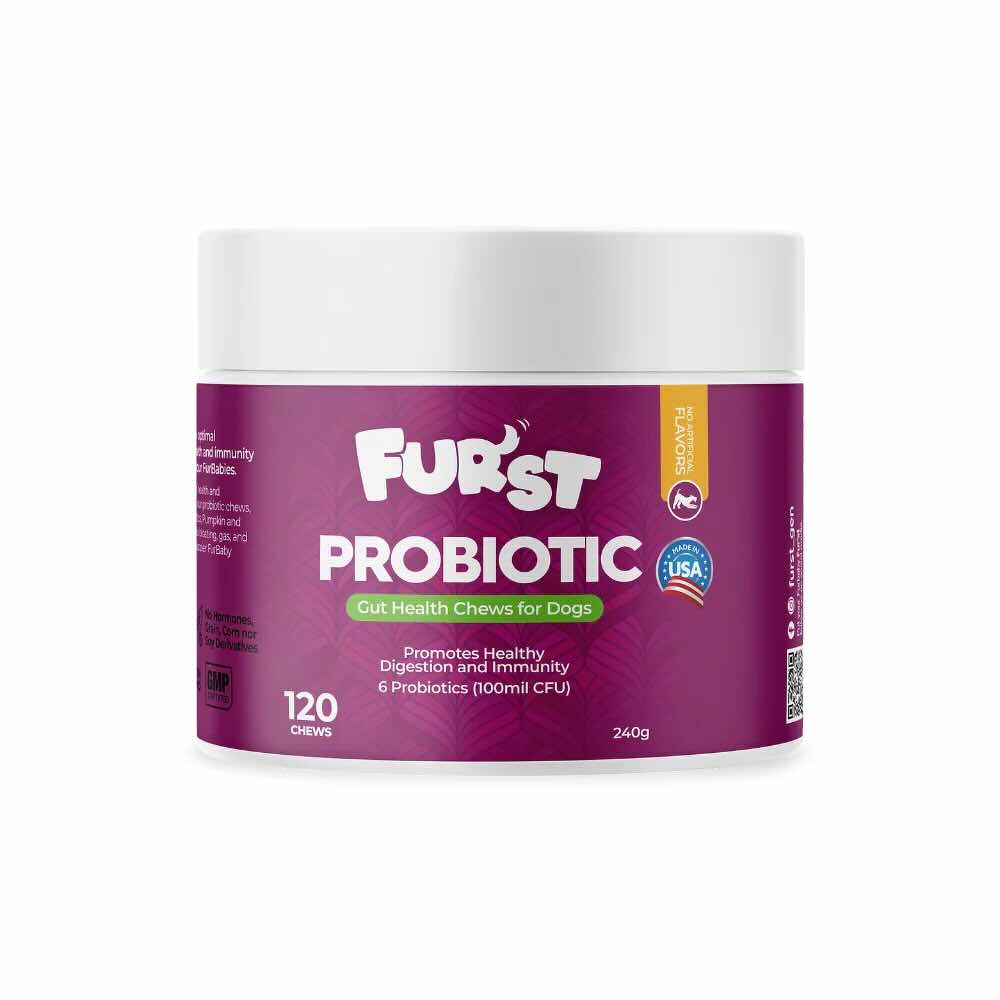 Dog probiotic supplement supporting gut health in petcare trends