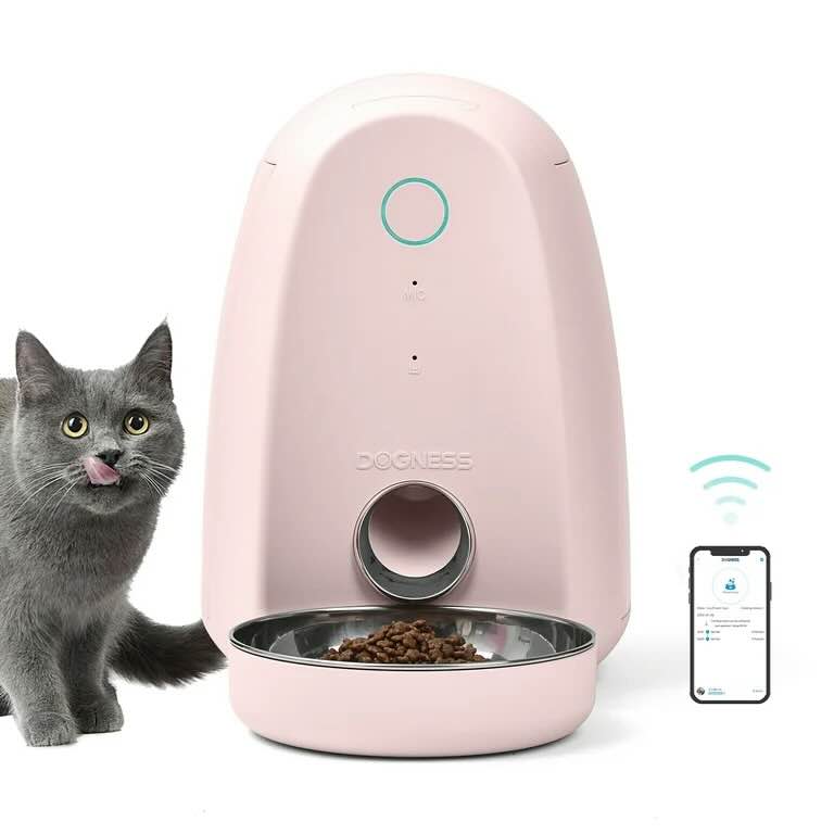 Smart pet feeder with app connectivity showing technology in petcare trends