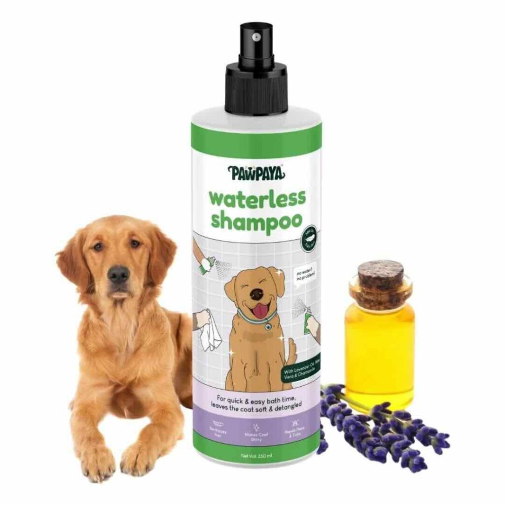 Waterless dog shampoo representing convenience grooming in petcare trends